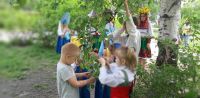 «Русская берёзка»