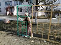 Субботник