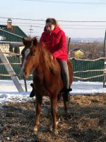 В гостях у казаков