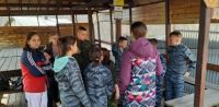 Поездка на пейнтбол