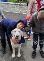 Радость и веселье