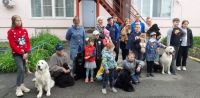 Радость и веселье