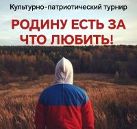Турнир «Родину есть за что любить»