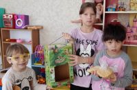 Поможем птицам!