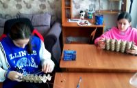 Поможем птицам!